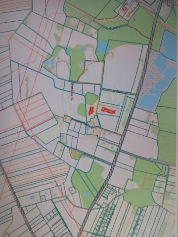 Nuotrauka 3