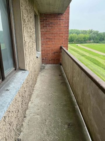 Nuotrauka 7